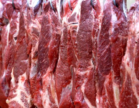 auditoria pode abrir mercado premium para carne bovina brasileira scaled