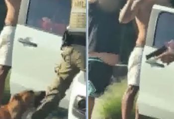 flagrante polemico policial atira na direcao de cachorro em abordagem em sc
