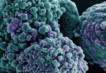 alerta global nova variante da covid com alto escape imunologico atinge 23 paises