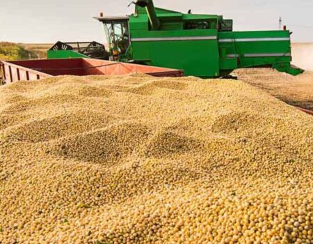 novas exigencias da china fazem cargas de soja brasileiras serem devolvidas e afetam exportacoes