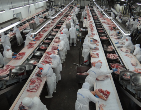 china lidera compras e impulsiona salto de 74 nas exportacoes de carne bovina de mato grosso
