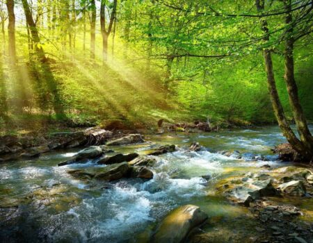 consumo consciente cresce no brasil e redefine relacao entre pessoas e produtos