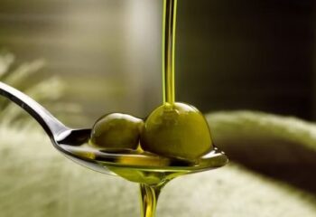 descubra o ingrediente que melhora o cerebro ao cuidar do intestino segundo cientistas