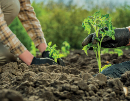 do campo ao futuro o plano que promete fortalecer a agricultura familiar no brasil scaled