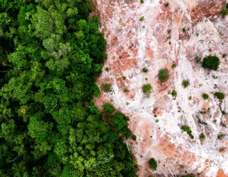 faccoes avancam sobre a amazonia e transformam crimes ambientais em estrategia de poder