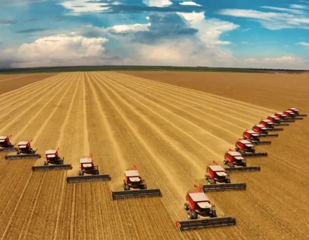 forca do campo exportacoes do agronegocio seguem em alta no brasil