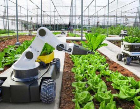 interior em crescimento cidades fora das capitais ganham destaque economico no brasil