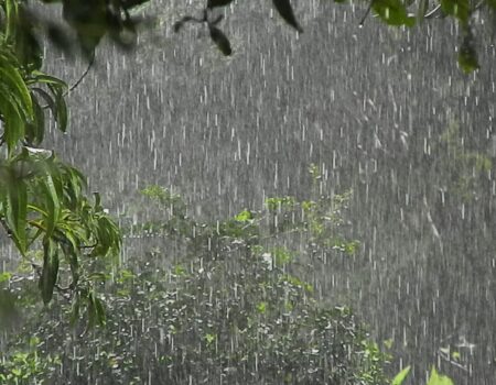 planeta em alerta as mudancas climaticas ja nao sao previsao sao realidade