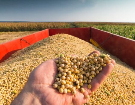 acordo mercosul ue amplia acesso de produtos brasileiros e pode gerar us 1 bilhao em exportacoes