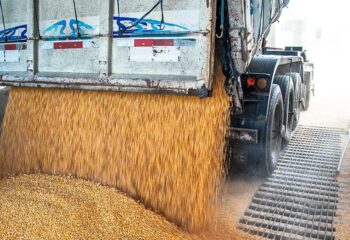 agronegocio brasileiro bate recorde de empregos e alcanca 284 milhoes de trabalhadores