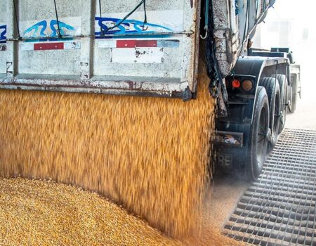 agronegocio brasileiro bate recorde de empregos e alcanca 284 milhoes de trabalhadores