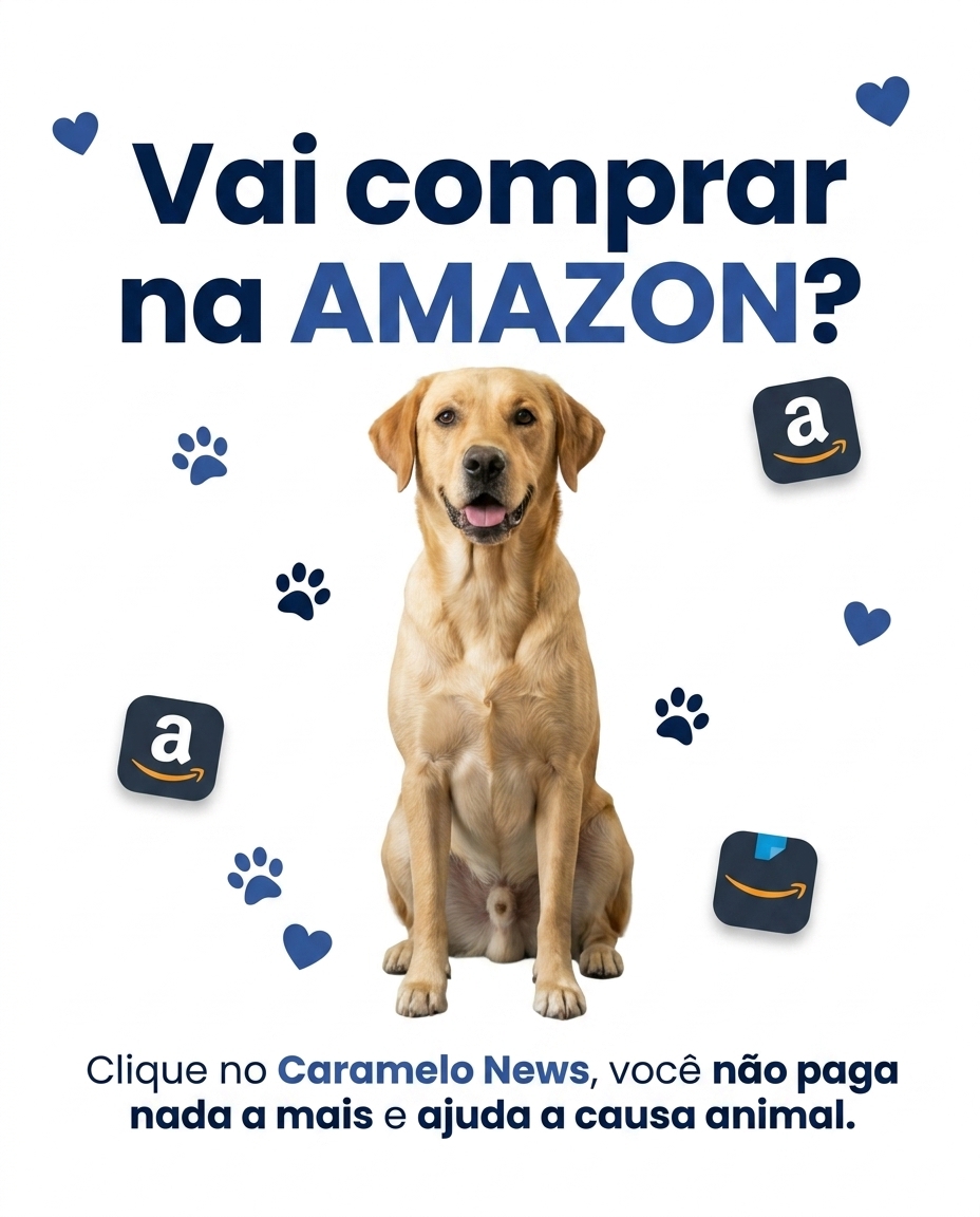 centro oeste news
