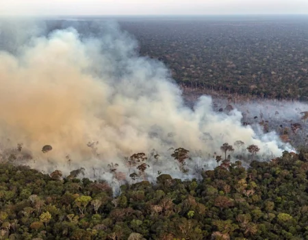 especialistas alertam para impactos das mudancas climaticas no brasil