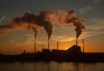 estudo alerta que calor extremo e poluicao quimica aceleram queda da fertilidade global