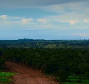 governo de mato grosso projeta conclusao de pavimentacao na mt 199 para 2027 e reforca integracao com a bolivia 1