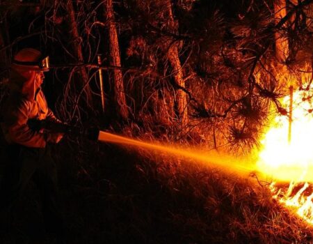 governo entrega frota e equipamentos para reforcar combate a incendios no cerrado e pantanal