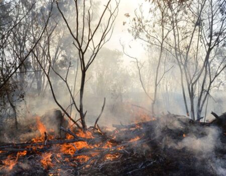 jovens brasileiros demonstram mais preocupacao com mudancas climaticas do que media global aponta estudo