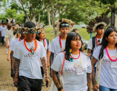 marco historico congresso aprova primeira universidade indigena do brasil e decisao pode transformar educacao no pais