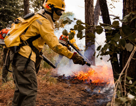 mato grosso intensifica combate ao desmatamento e incendios florestais