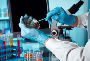 pesquisadores identificam bacteria multirresistente em regioes de porto alegre
