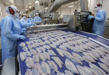 suspensao da uniao europeia preocupa piscicultura brasileira e amplia incertezas no setor