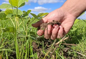agronegocio de mato grosso amplia relacoes comerciais com o mercado japones