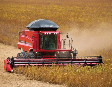 agronegocio de mato grosso mantem lideranca nacional e impulsiona economia regional
