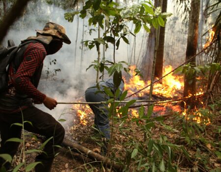 cidades investem em prevencao para enfrentar temporada de incendios florestais