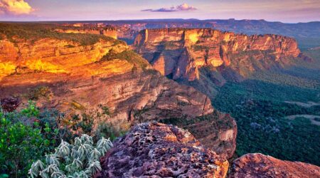 crescimento do turismo internacional impulsiona economias e amplia oportunidades de negocios