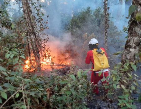 el nino de 2026 pode se tornar um dos mais intensos das ultimas tres decadas e acende alerta em sao paulo
