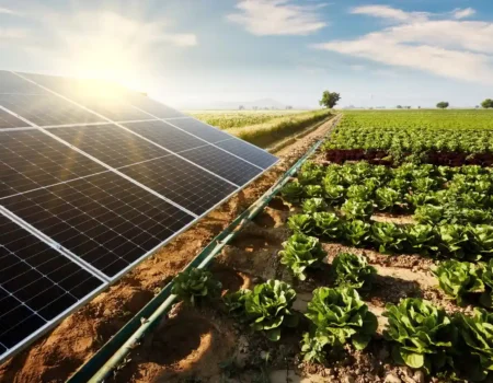 expansao da energia solar consolida nova fase da transicao energetica no brasil