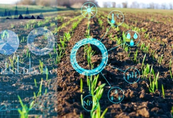 inteligencia artificial passa a ser utilizada na agricultura para prever pragas e aumentar produtividade