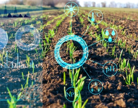 inteligencia artificial passa a ser utilizada na agricultura para prever pragas e aumentar produtividade