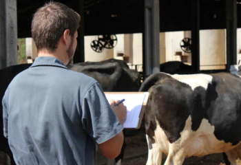 ministerio da agricultura reconhece primeiro programa nacional de boas praticas para pecuaria de corte