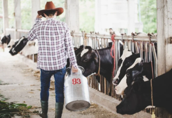 preco do leite sobe mais de 10 em abril mas produtores ainda enfrentam desafios no campo