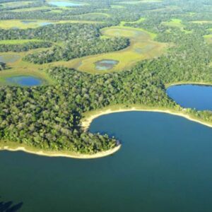 preservar o pantanal da lucro produtores recebem r 3 milhoes por proteger florestas nativas