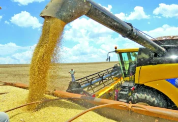 producao agropecuaria brasileira mantem protagonismo no mercado internacional