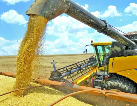 producao agropecuaria brasileira mantem protagonismo no mercado internacional