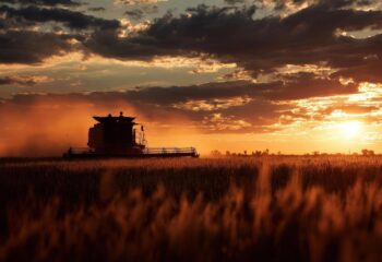 producao de milho em mato grosso reforca lideranca do estado no agronegocio nacional