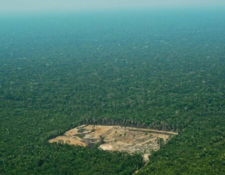 queda historica do desmatamento reforca protagonismo ambiental do brasil