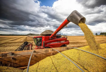 safra de graos deve atingir recorde de 3586 milhoes de toneladas no brasil aponta conab