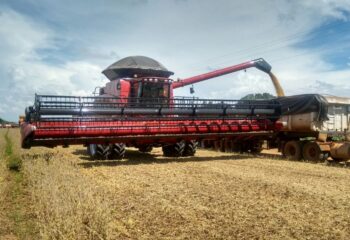 conab eleva previsao da safra de graos para 3601 milhoes de toneladas na temporada 2025 26