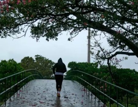 frio se espalha por tres estados e geada avanca pelo sul com temperaturas proximas de 0c