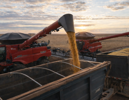 mato grosso fortalece exportacoes e mantem lideranca no agronegocio brasileiro