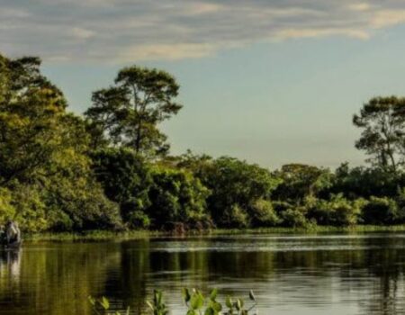 quando o titulo condena antes da prova quem ganha ao transformar o agro em inimigo do pantanal