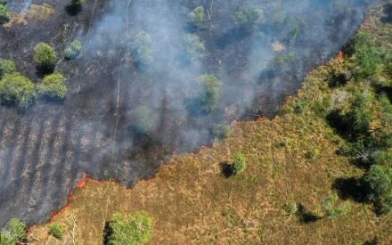 alertas de desmatamento na amazonia caem 369 e atingem menor nivel da serie do inpe cerrado tem queda de 78