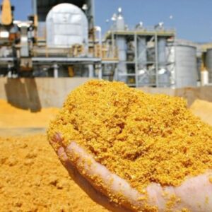 exportacao de farelo de soja cresce e supera 100 mil toneladas por tres meses seguidos em ms