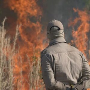mato grosso combate 14 incendios florestais e registra centenas de focos de calor