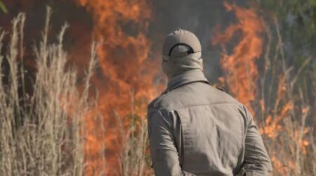 mato grosso combate 14 incendios florestais e registra centenas de focos de calor