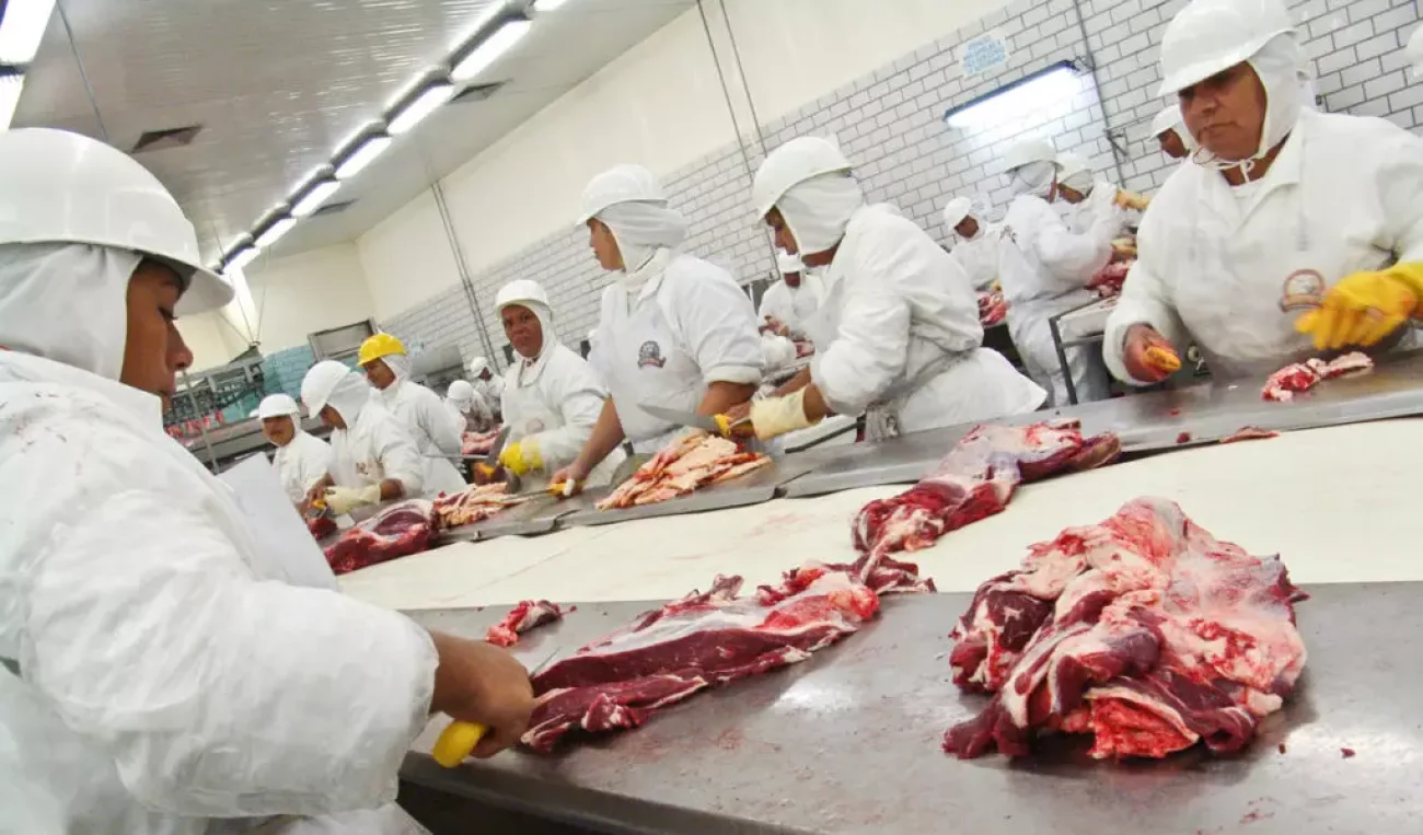 arroba-do-boi-gordo-dispara-em-sao-paulo-com-oferta-curta-e-exportacoes-aquecidas